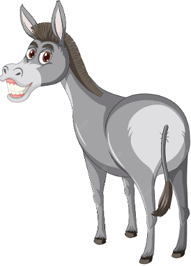 Story of a Donkey