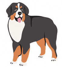Notes: Animals - Their Babies, Sounds and Groups | English Olympiad for Class 3