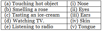 Our Body - CBSE Worksheets- 1 Solutions