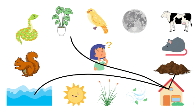 Worksheet Solutions: Web of Life - 2 | EVS for Class 3