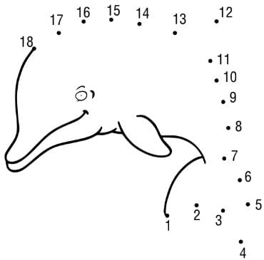 Making 10 (Numbers 10 to 20) - 1 Class 1 Worksheet Maths
