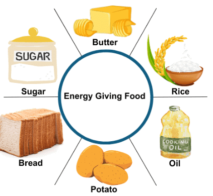 NCERT Solutions for Class 4 EVS Chapter 5 - Food for Health