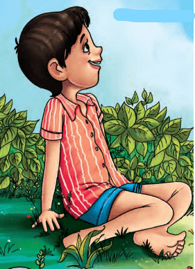Short Answer Questions: A Show of Clouds | English for Class 2 (Mridang)