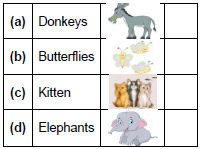 Worksheet: One Little Kitten/Lalu and Peelu - 1