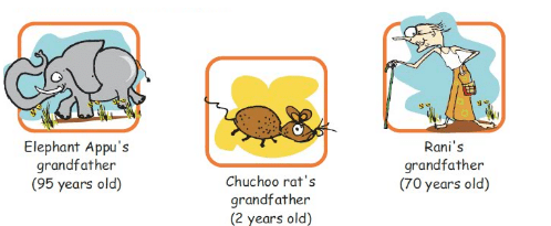 NCERT Solutions for Class 4 Maths - Tick Tick Tick