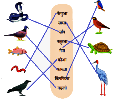 Worksheet Solutions: तालाब | Worksheets with solutions for Class 2