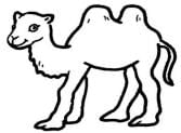 Worksheet Solutions: How Heavy How Light - 1 | Mathematics for Class 4: NCERT