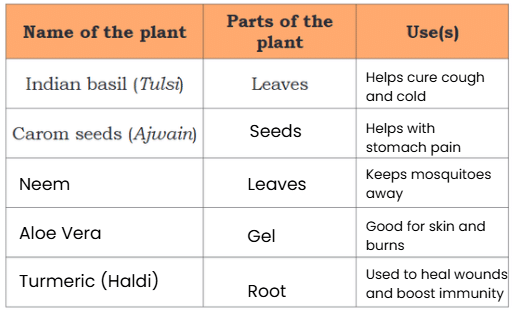 NCERT Solutions for Class 4 EVS Chapter 4 - Growing up with Nature