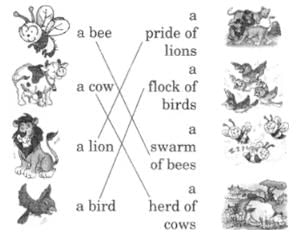 NCERT Solutions for Class 2 English - I Want