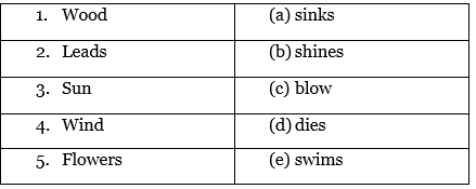 Why Class 4 Worksheet English