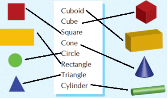 Shapes - 1 Class 1 Worksheet Maths Chapter 1