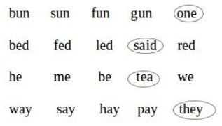 NCERT Solutions for Class 2 English Unit 5 - Funny Bunny