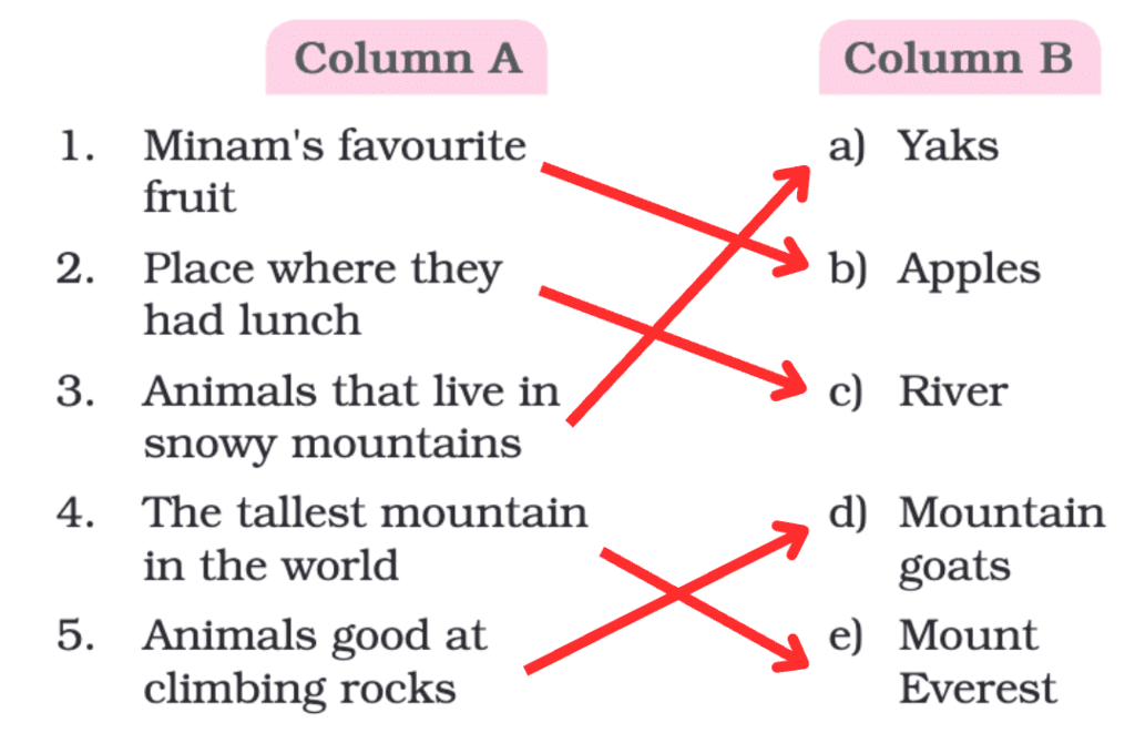NCERT Solutions for Class 4 English Chapter 11 - A Journey to the Magical Mountains