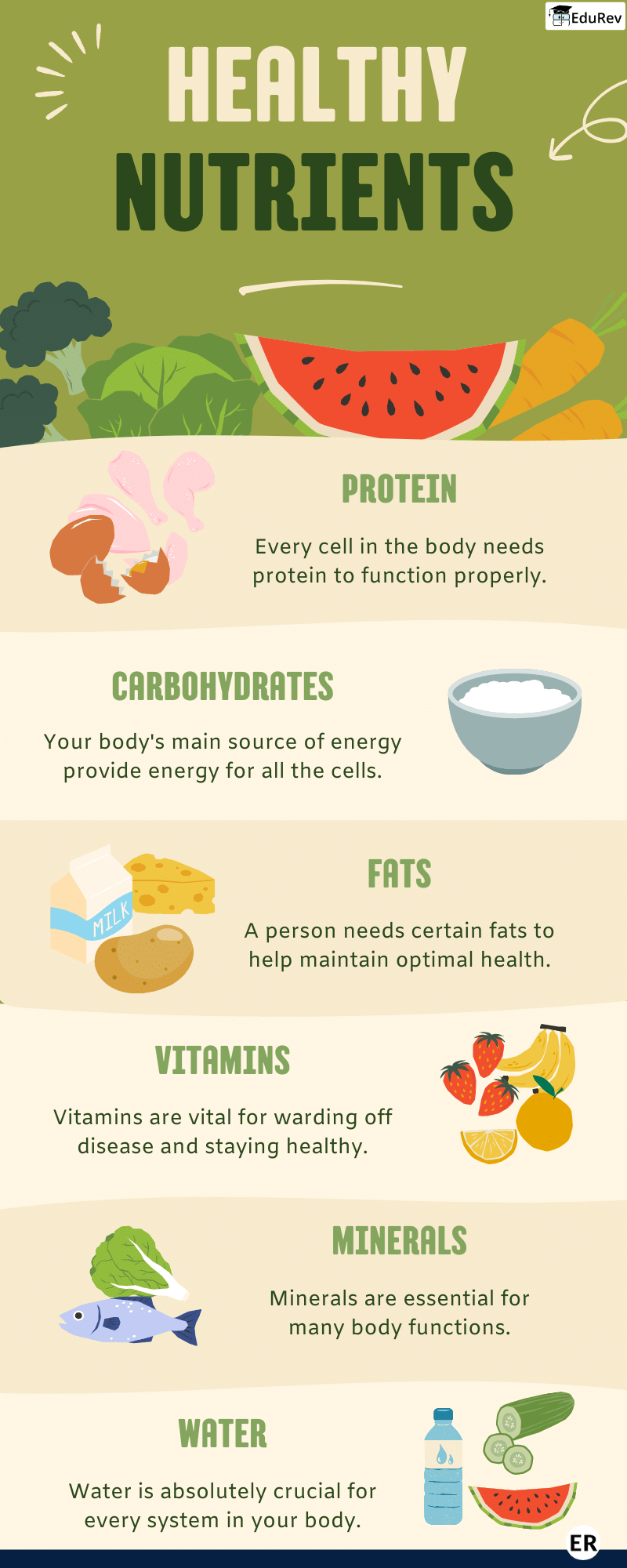 Class 4 EVS Learning Poster Chapter 5 Different Types of Nutrients
