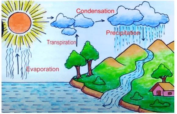 Weather and Seasons - CBSE Worksheets Solutions