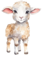 Practice Questions: Animals - Their Babies, Sounds and Groups | English Olympiad Class 1
