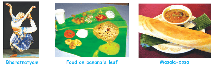 Chennai Class 3 Notes SST