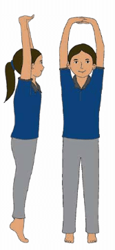 Yoga Sadhana Class 4 Notes Physical Education Chapter 7 Free PDF