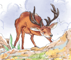 Class 4 English Summary Chapter 5 The Old Stag