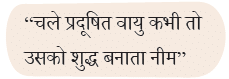 NCERT Solutions for Class 4 Hindi Chapter 3 - नीम