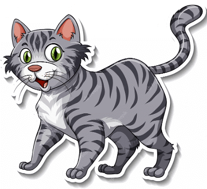 Story of a Cat