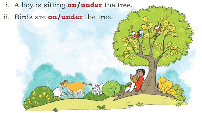 Finding the Furry Cat! NCERT Solutions | Mathematics for Class 1: NCERT (Joyful-Mathematics)