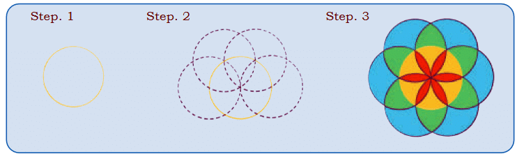 NCERT Solutions for Class 4 Maths Chapter 1 - Shapes Around Us