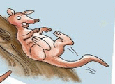 NCERT Solutions for Class 2 English - I am Lucky