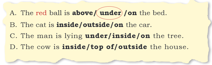 Finding the Furry Cat! NCERT Solutions | Mathematics for Class 1: NCERT (Joyful-Mathematics)