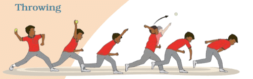 Throwing and Catching Class 4 Notes Physical Education Chapter 1 Free PDF