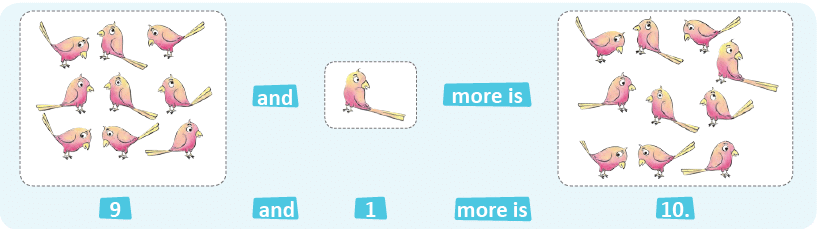 Numbers Class 1 Notes Maths Chapter 11