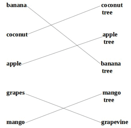 NCERT Solutions for Class 1 English Marigold Unit 4 - Mittu and the Yellow Mango