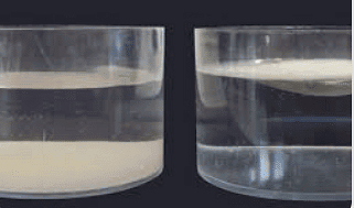 Solids, Liquids and Gases - 1 Class 4 Worksheet Science