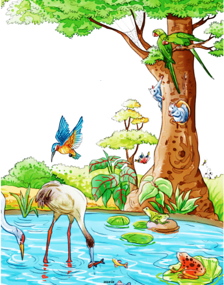 Worksheet Solutions: तालाब | Worksheets with solutions for Class 2