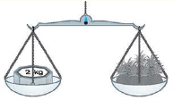 Class 3 Maths - Measurement - CBSE Worksheets