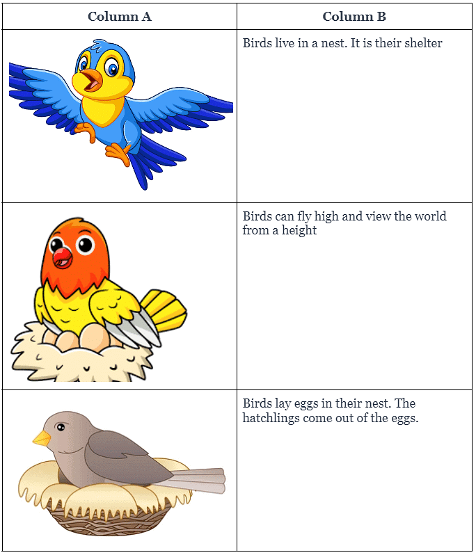 Bird Talk - 1 Class 3 Worksheet English Unit 2
