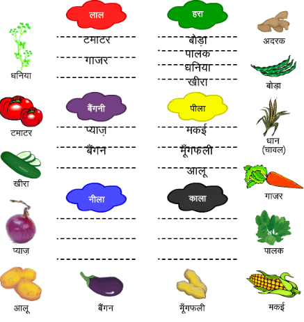 पत्ते ही पत्ते NCERT Solutions | NCERT Textbooks & Solutions (Class 1 to Class 5) - DSSSB TGT/PGT/PRT