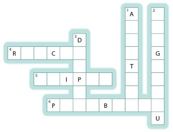 Our Country India - 1 Class 4 Worksheet SST