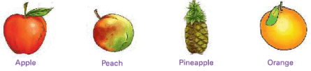 Food from Plants Class 1 Notes Science