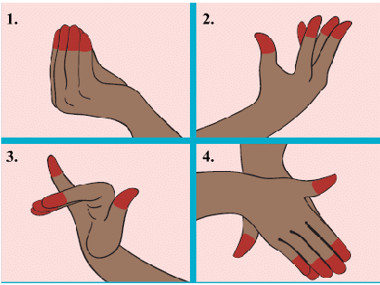 Saying without Speaking NCERT Solutions | EVS for Class 3