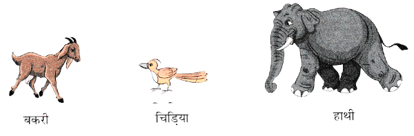 शब्दों का खेल