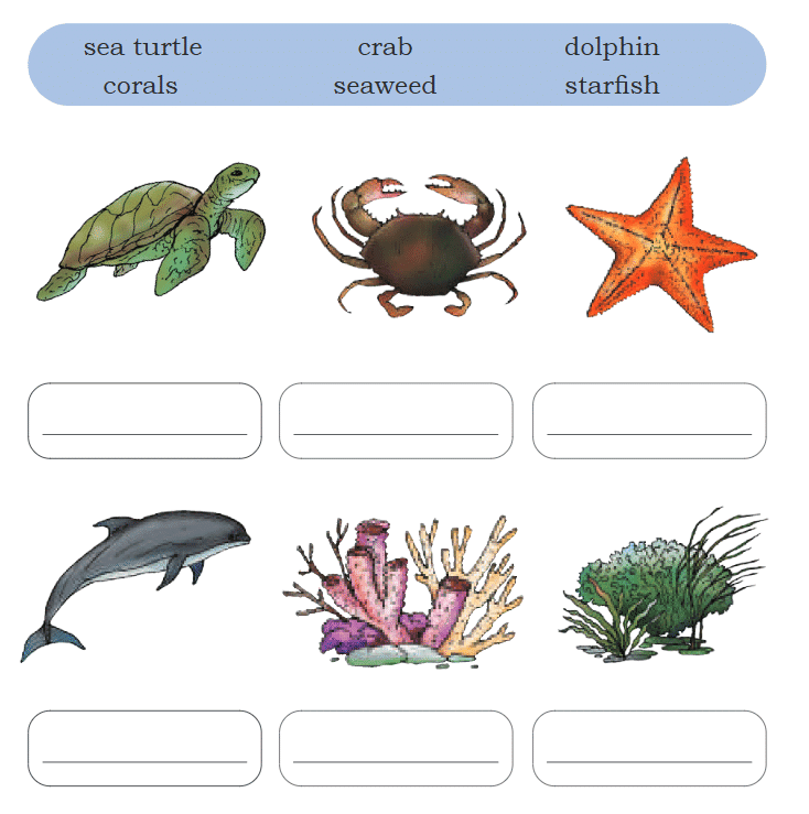 NCERT Solutions for Class 4 EVS Chapter 9 - Different Lands, Different Lives