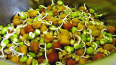 Food - Our Basic Need Class 4 Notes Science