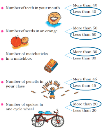 NCERT Solutions for Class 2 Maths Chapter 2 - Counting in Groups