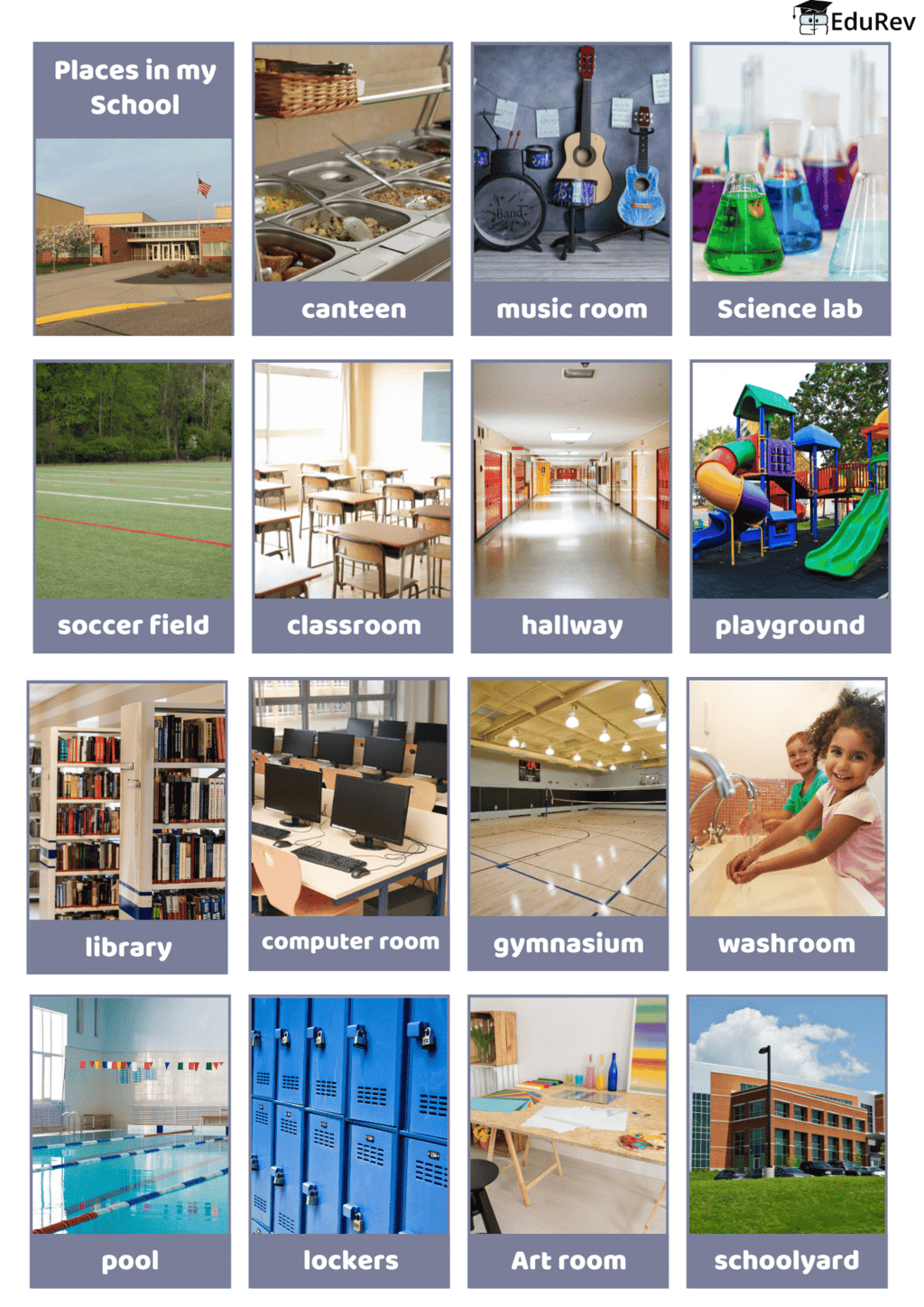 Printable Worksheet: Our School | EVS for Class 1
