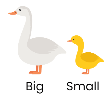 Notes: Words - Their Meanings and Opposites | English Olympiad Class 1