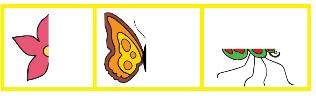 NCERT Solutions for Class 4 Maths - Chapter 9 - Halves And Quarters
