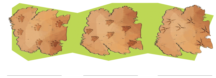 NCERT Solutions for Class 4 EVS Chapter 3 - Nature Trail