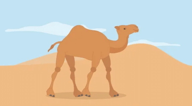 How Creatures Move and The Ship of the Desert - 3 Class 3 Worksheet English Unit 1