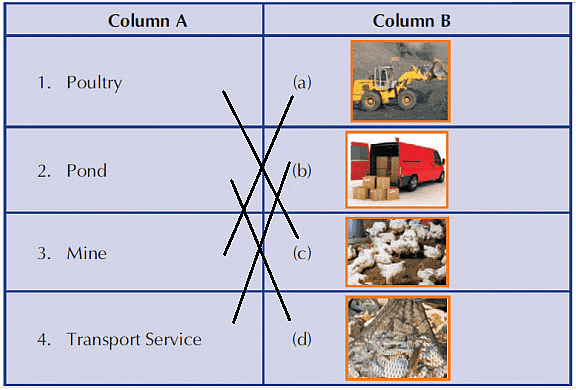 Occupation - 1 Class 3 Worksheet SST